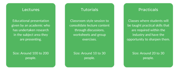 WSU Occupational Therapy - Class Structure