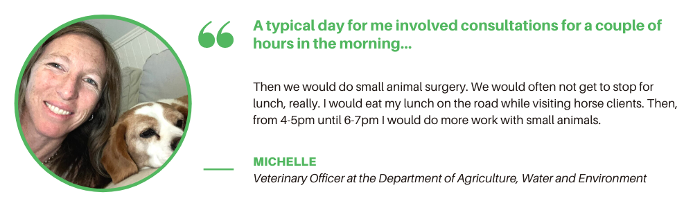 What Does a Vet Do? | Roles, Skills and Advice for Students