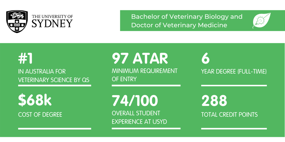What It's Like Studying Veterinary Biology at Sydney Uni | Art of Smart