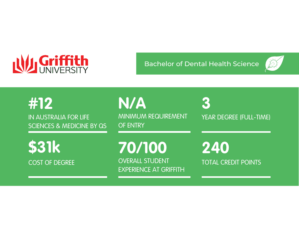 What It's Like Studying Dentistry at Griffith University Art of Smart
