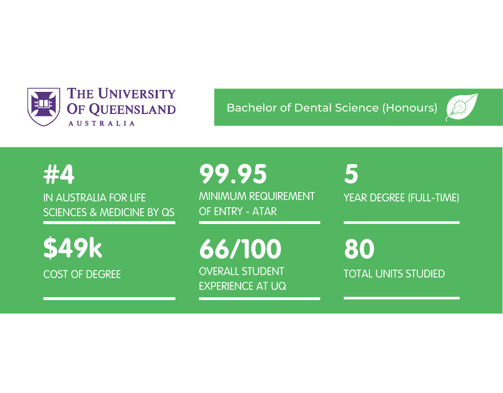 What It's Like Studying Dentistry at UQ Art of Smart Education