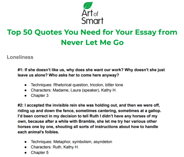 i will never go there again essay