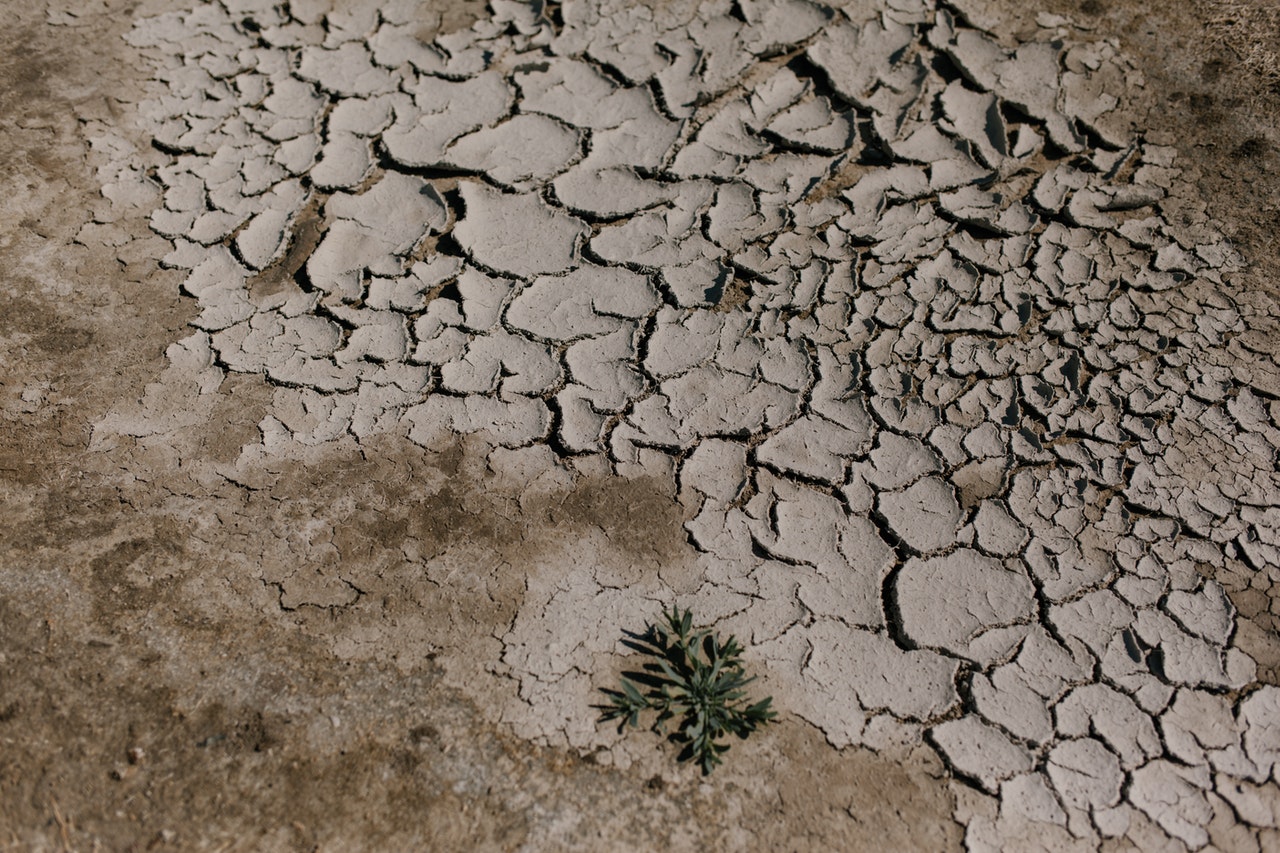 Cracked dry ground in desert area
