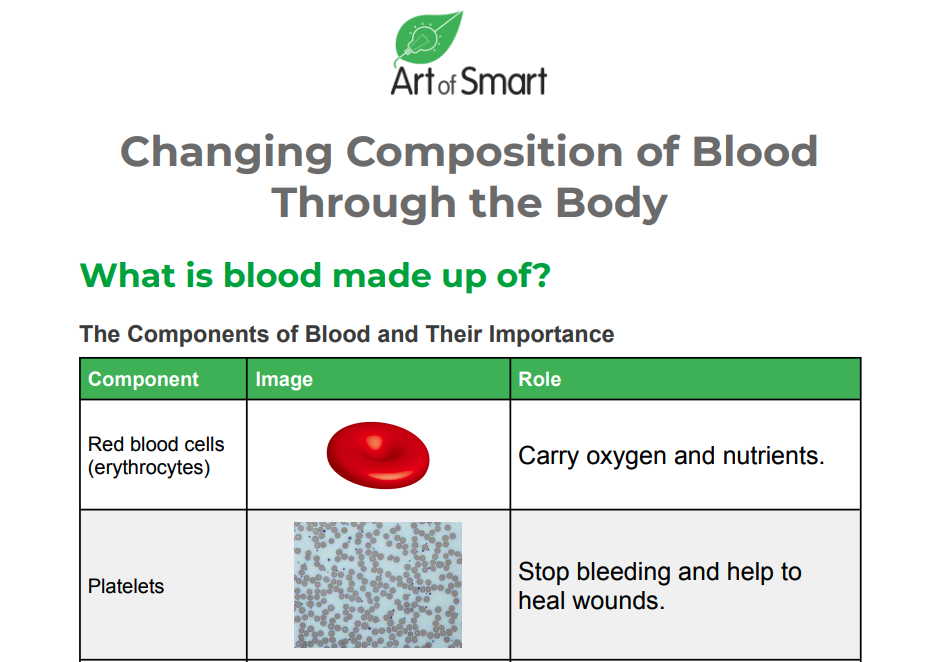 Changing Composition of Blood through the body preview
