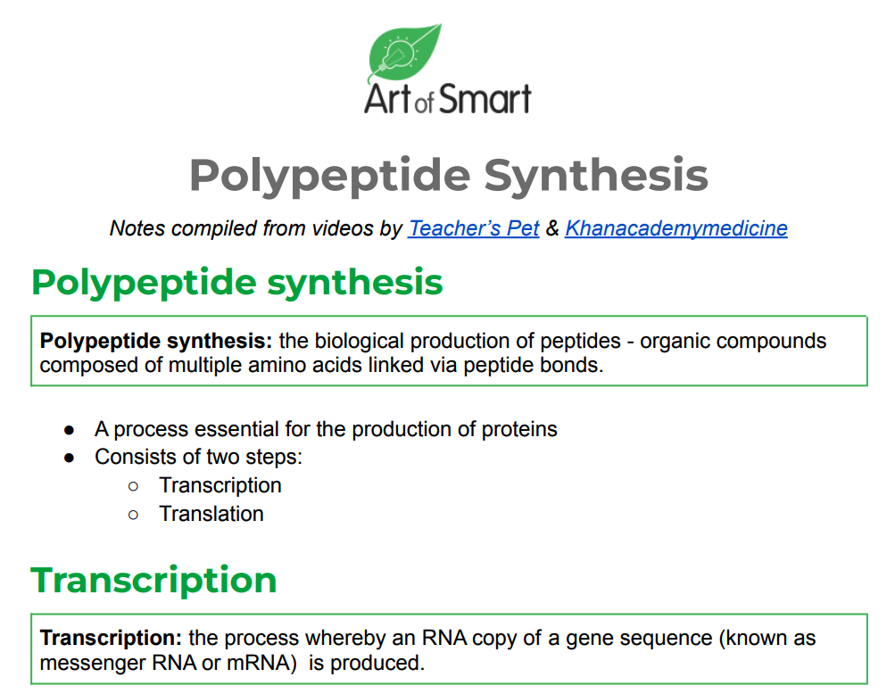 Polypeptide Synthesis - Preview