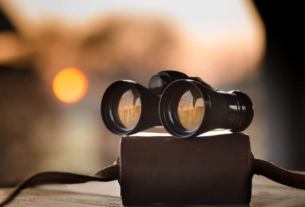 Binoculars - Rear Window Quotes