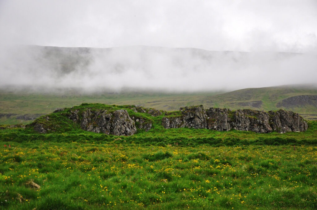 Illugastaðir farm