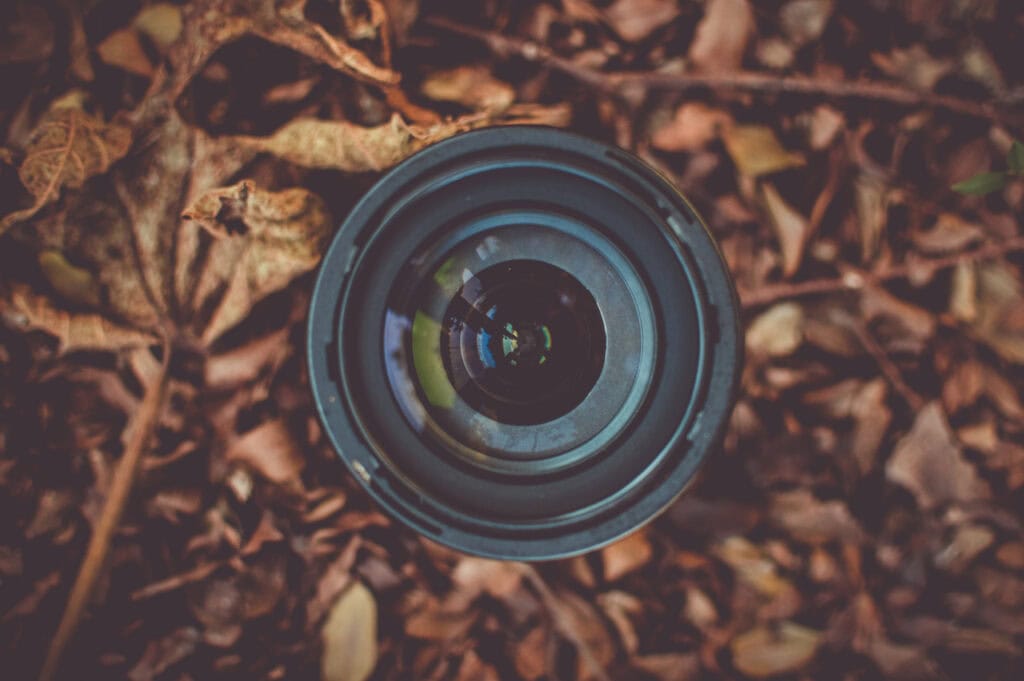 Camera in leaves