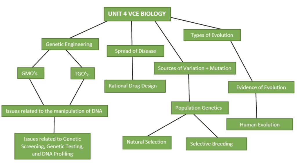 Example of a Unit 4 Mind-Map - VCE Biology Exam