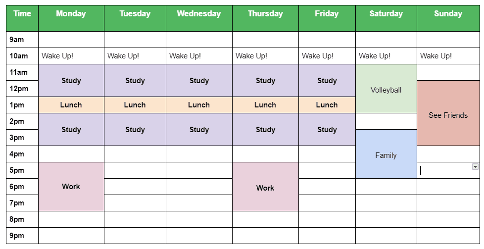 Study Planner - Weekly Holiday Planner